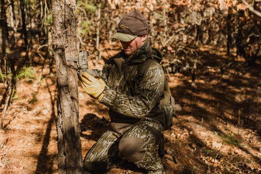 Wearing the Non-Typical Endurance Pant with Scent Control by Nontypical, a person in camouflage and yellow gloves kneels in a sunlit forest, attaching a trail camera to a tree among fallen leaves and tall pines.