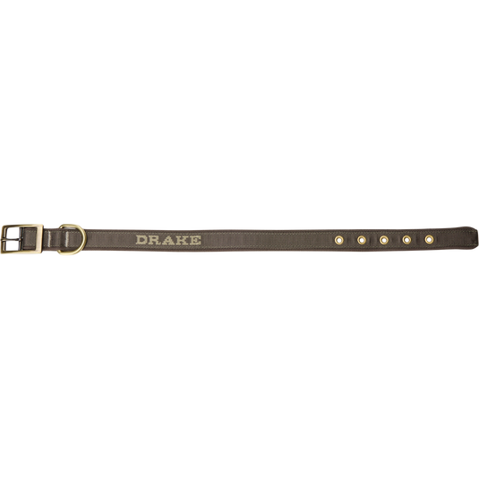 Team Gun Dog Adjustable Webbed Collar with metal buckle, D-ring, and five adjustment eyelets, featuring DRAKE woven near the buckle, ideal for training and walking.