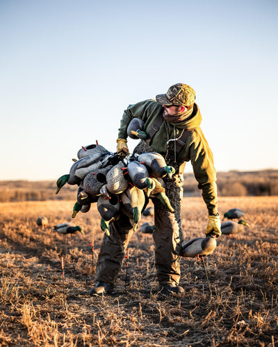 At sunrise, a person wears the Waterfowl LST CommandXT Bib with Primaloft in a field, carrying duck decoys. More decoys are scattered on dry ground as distant hills rise under a clear sky.