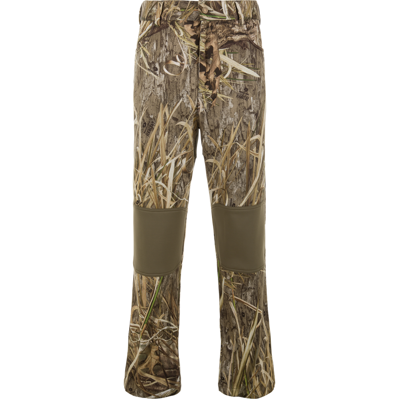 Spoonie Hollywood Pant
